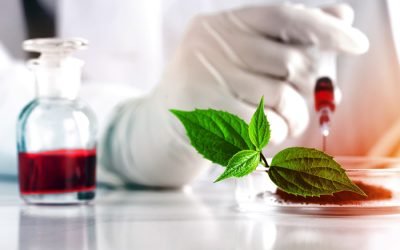 Laboratory